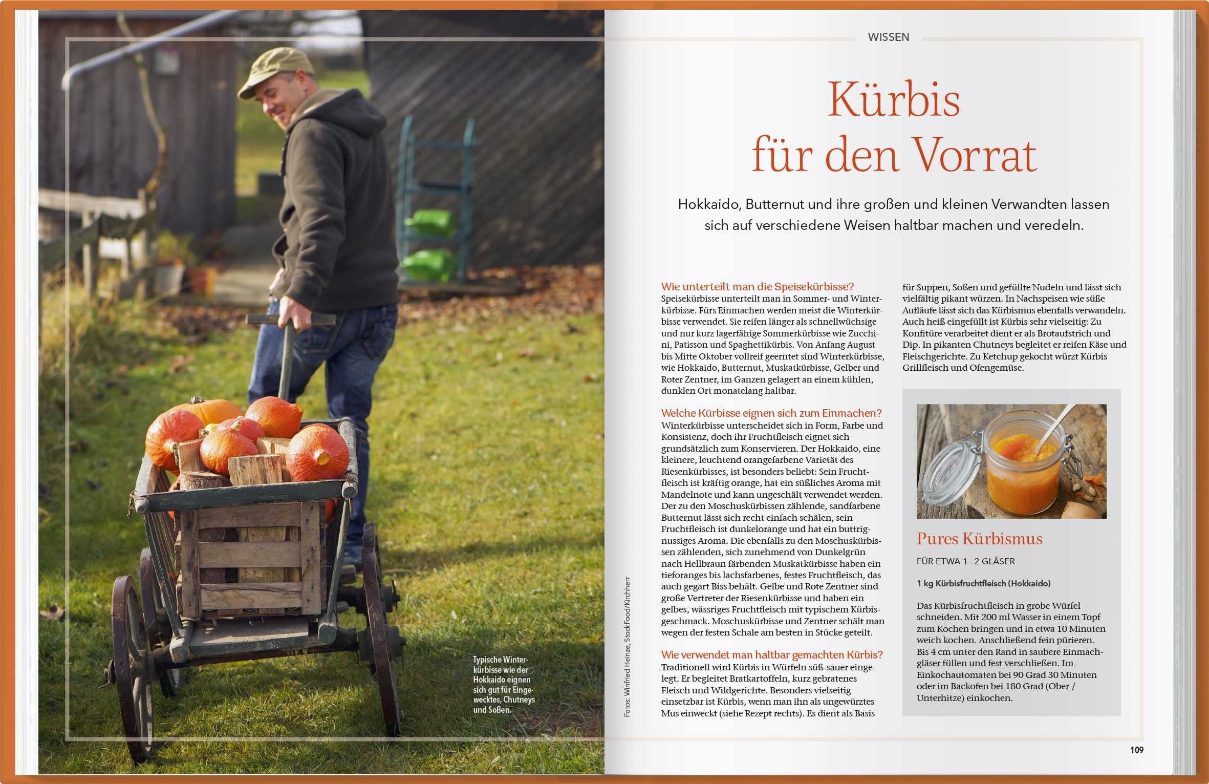 Landlust – Einmachen: Das große Handbuch fürs Haltbarmachen